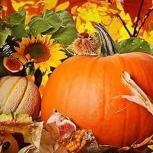 Meet your Posher, Minerva